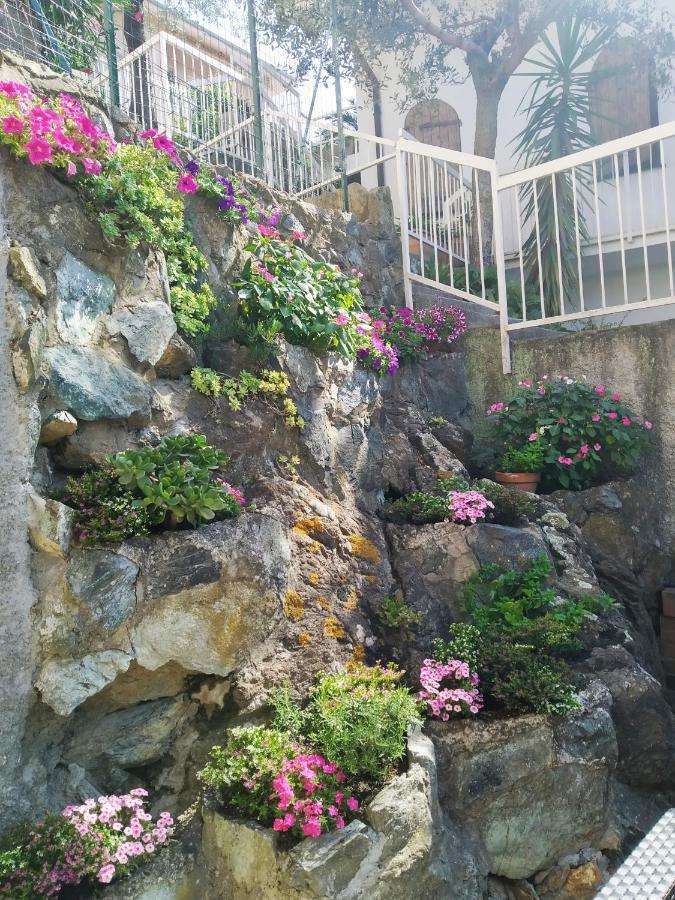 La Roccia Fiorita Con Giardino E Jacuzzi